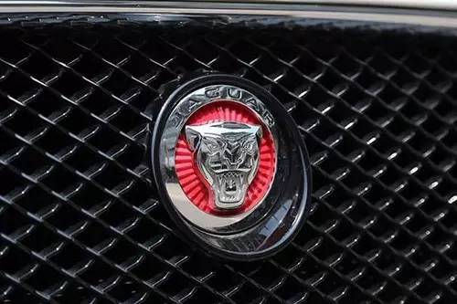 車(chē)標(biāo)上的動(dòng)物都是啥來(lái)頭？看完又能出去裝X了