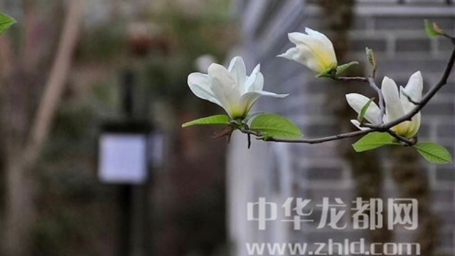 淮陽蓮舍，多了一份味道