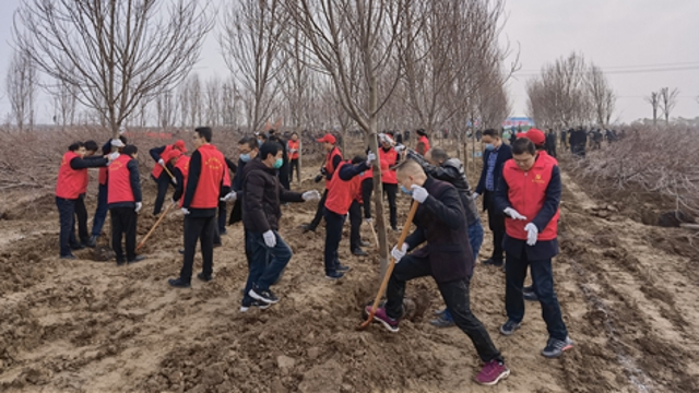 栽下樹(shù)苗，留下新綠