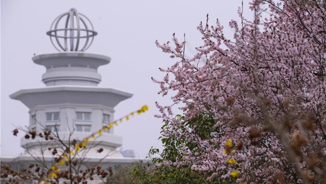 陽(yáng)春三月，踏青賞花正當(dāng)時(shí)