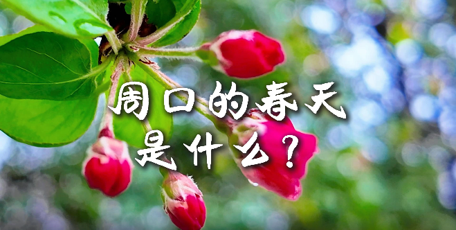 周口的春天，待你慢慢遇見